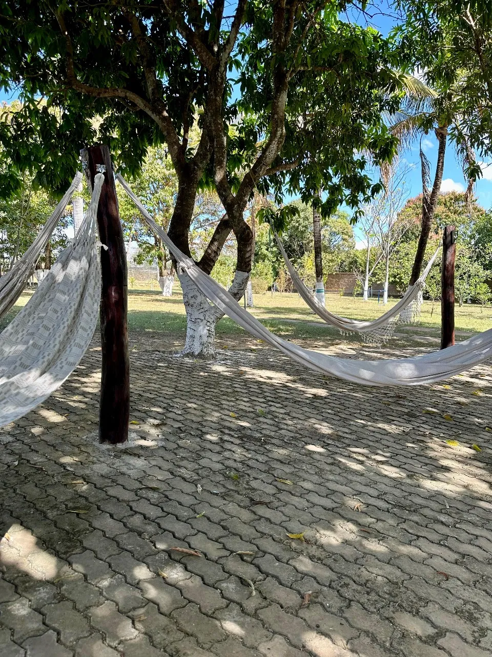 7408bb4eede622375966c9e97b0f2a23ae43f469