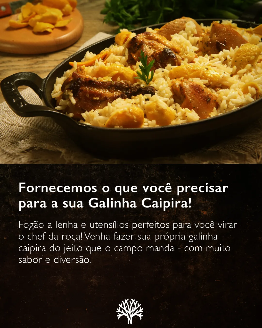 galinha-09